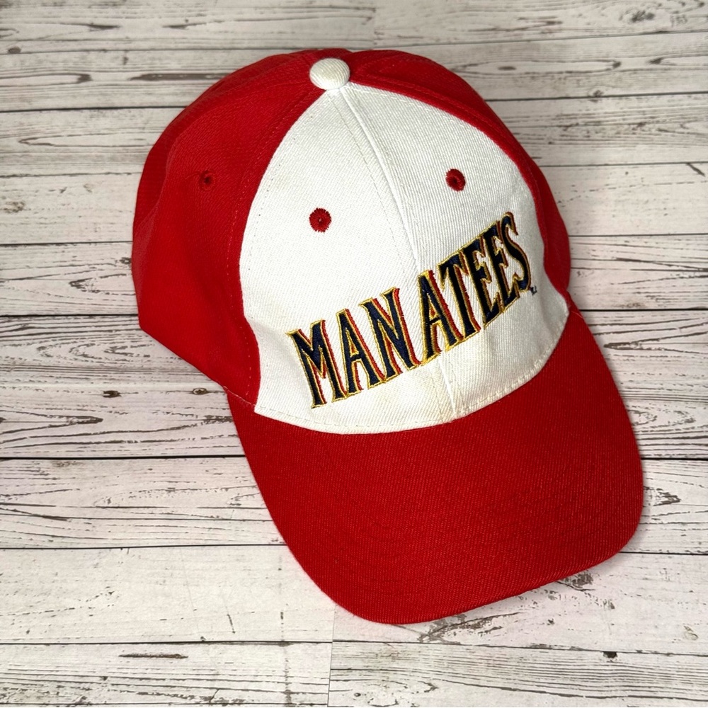 Manatees Hat ‘Brevard County‘